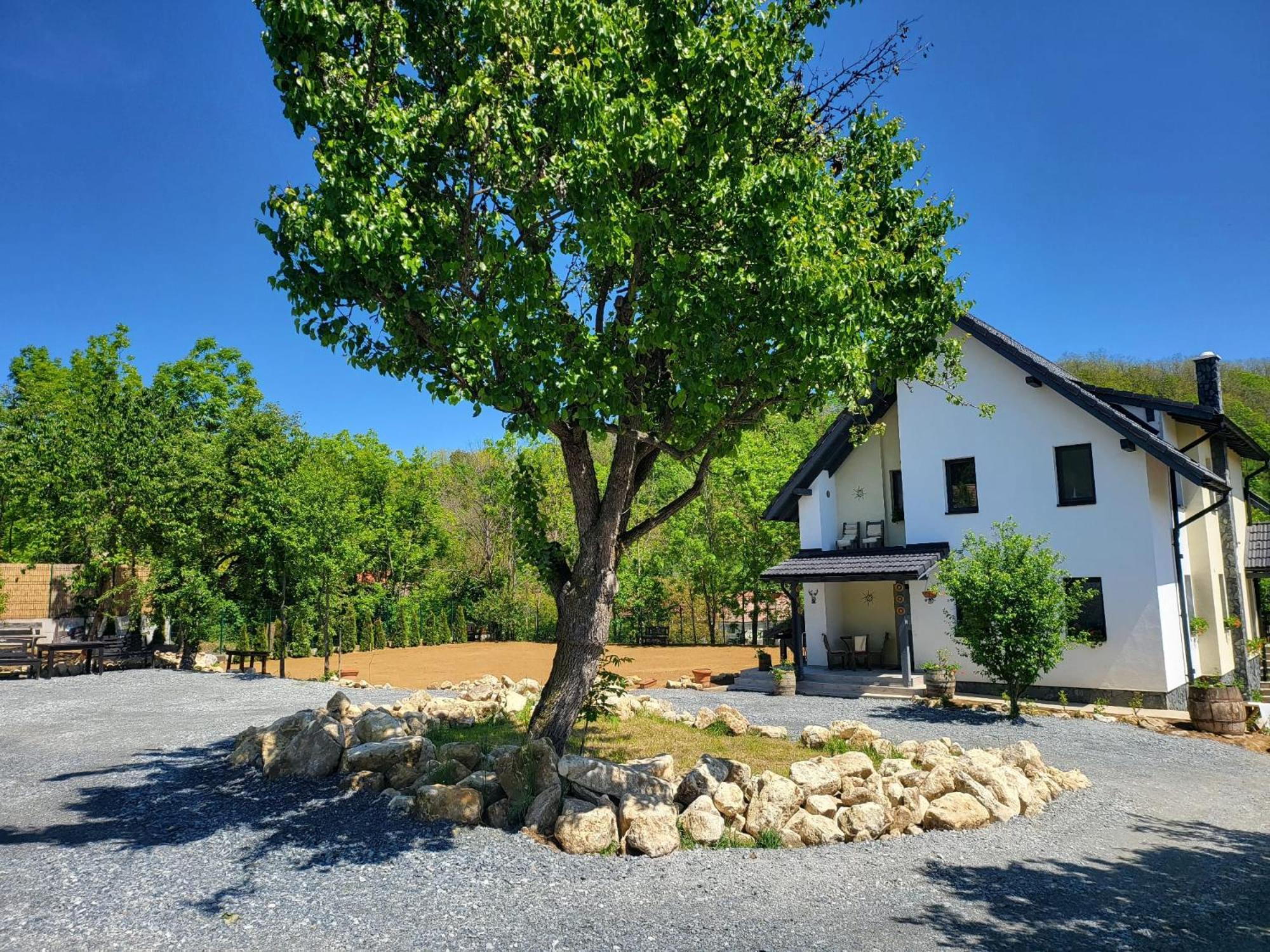 Pensiunea Casa Dacilor Podeni ภายนอก รูปภาพ